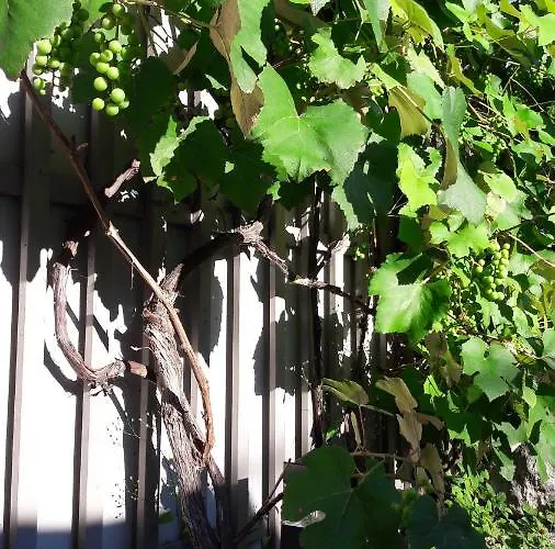 Relax-apartment Mit Sauna * 클라겐푸르트